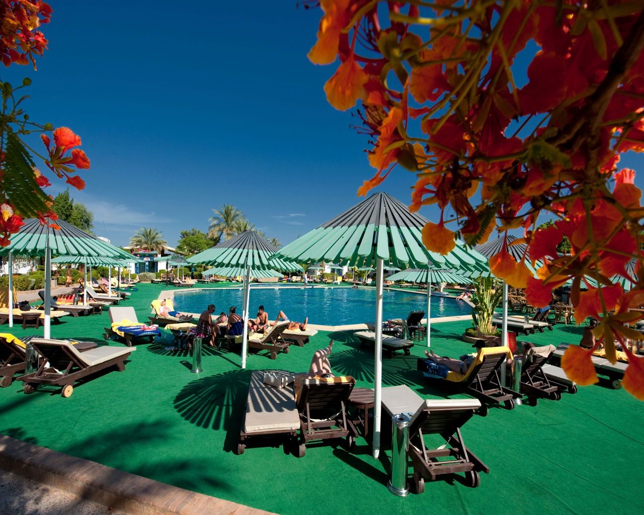 Ghazala Beach 3*, Sharm el Sheikh, Egipat