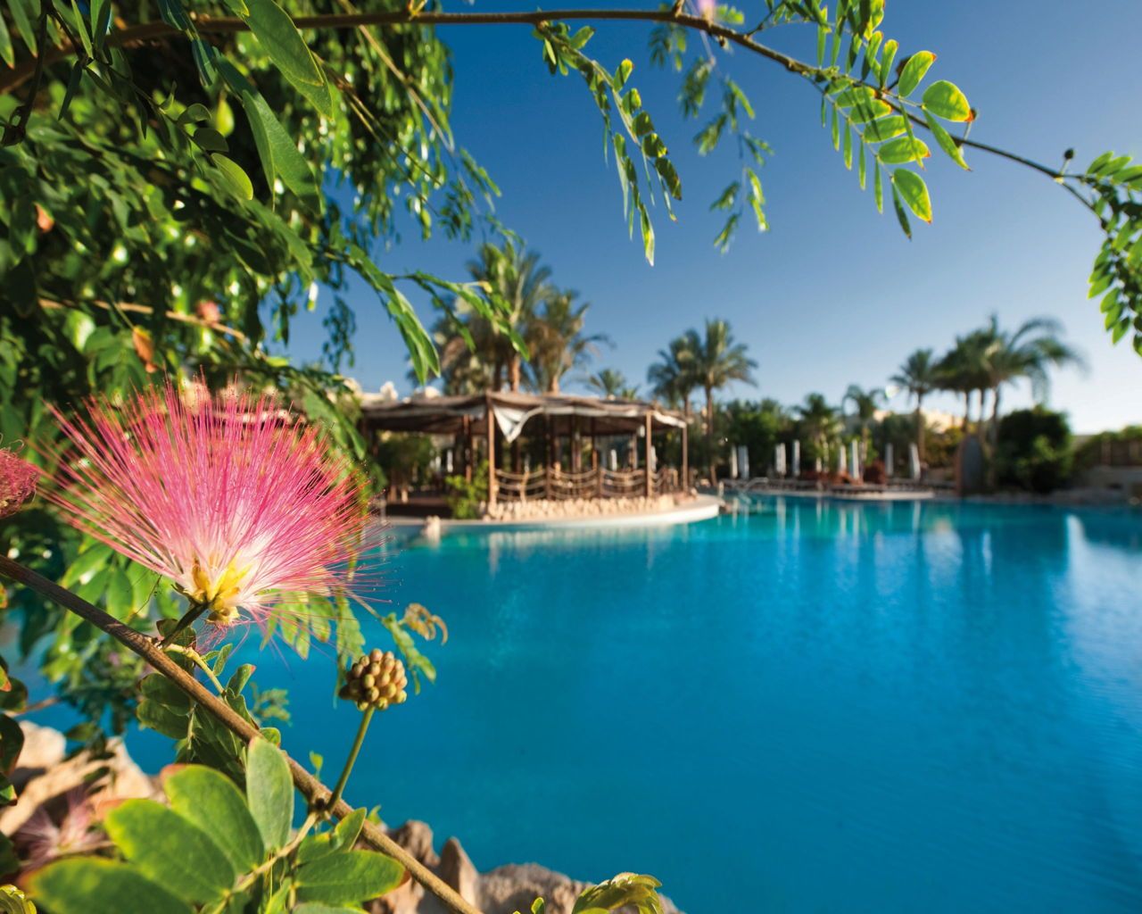 The Grand Hotel Sharm El Sheikh 4*+, Sharm El Sheikh, Egipat