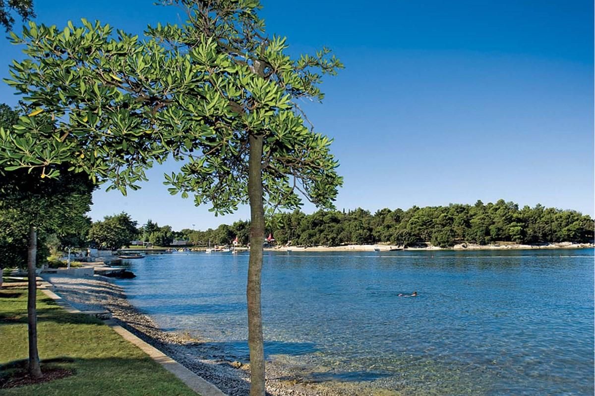 Hotel Zorna Plava Laguna 3*