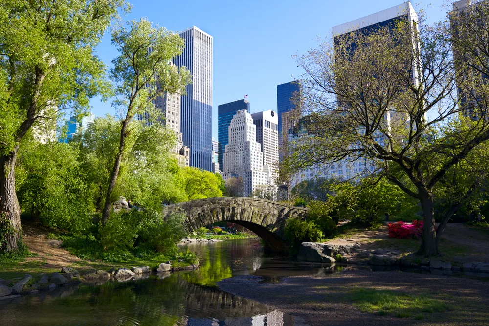 Central Park New York